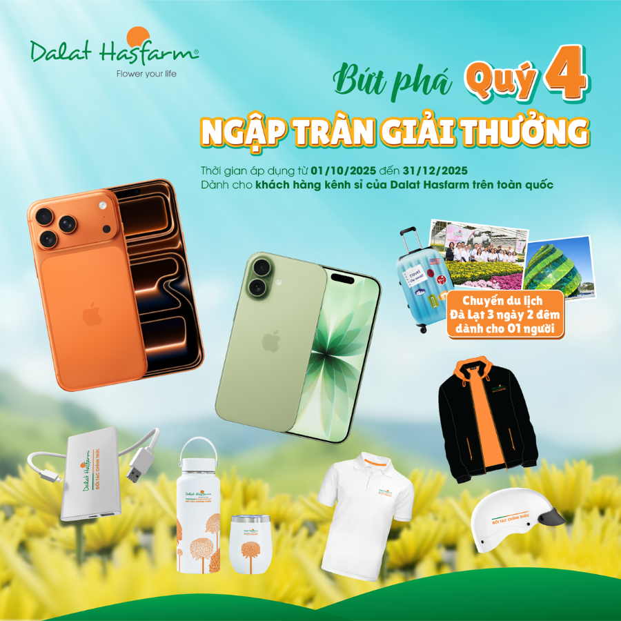 BỨT PHÁ QUÝ 4 – NGẬP TRÀN GIẢI THƯỞNG