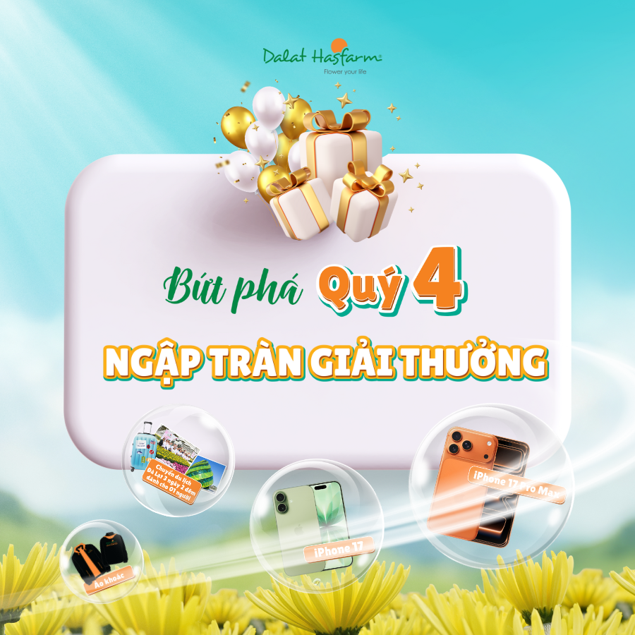 Quà Bứt Phá Quý 4 Khách Nào Cũng Thích Mê