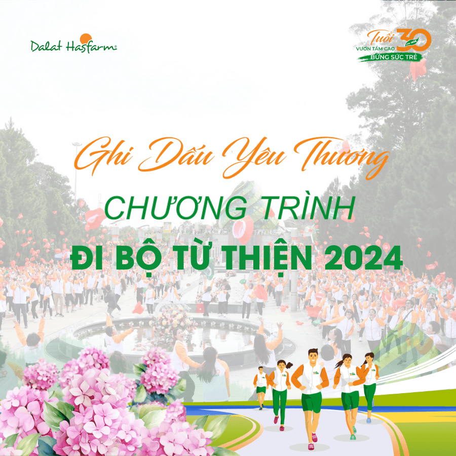 Cùng Nhìn Lại Hành Trình Đi Bộ Từ Thiện: Khi Bước Chân Trở Thành Cầu Nối Yêu Thương