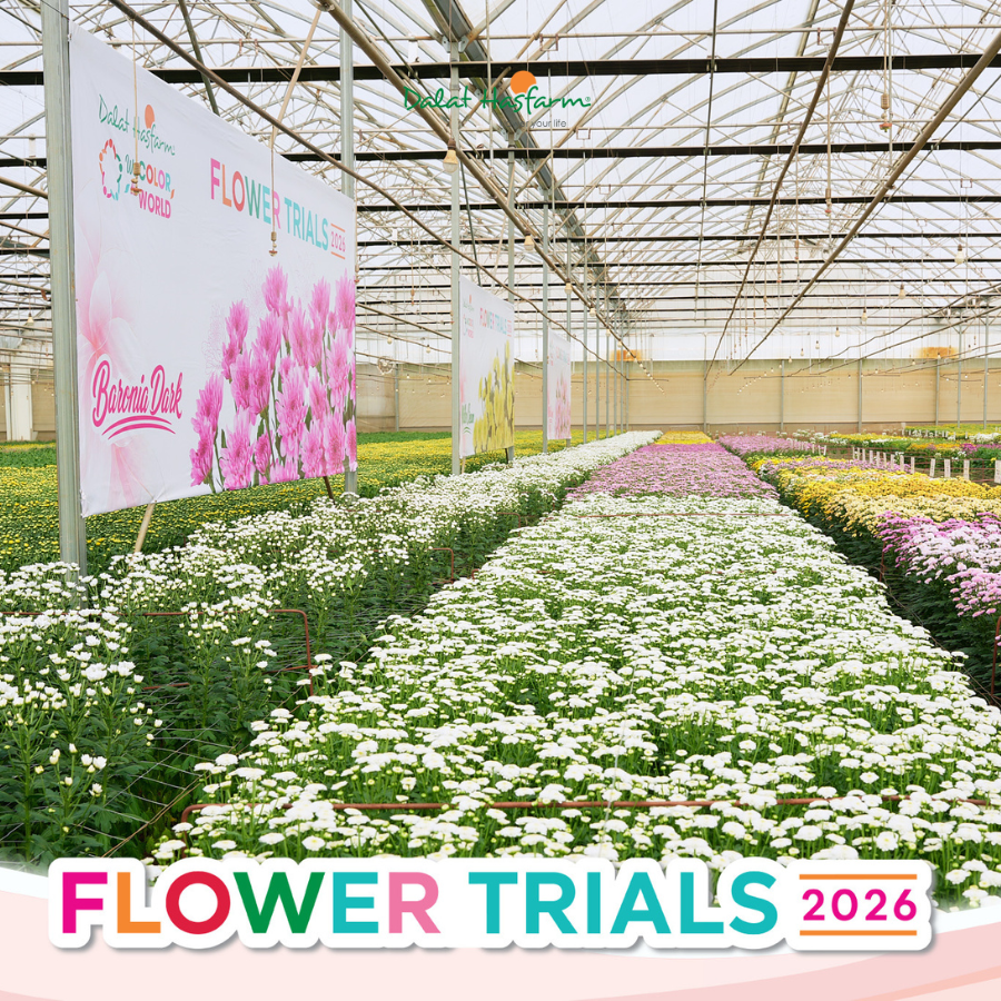 🌸 Flower Trials 2026 | Hành Trình Khám Phá Tương Lai Ngành Hoa 🌸