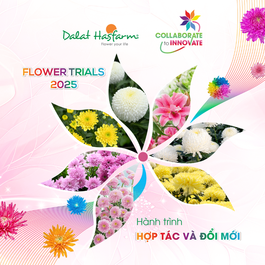 Cùng Nhìn Lại Những Khoảnh Khắc Đáng Giá Tại FLOWER TRIALS 2025