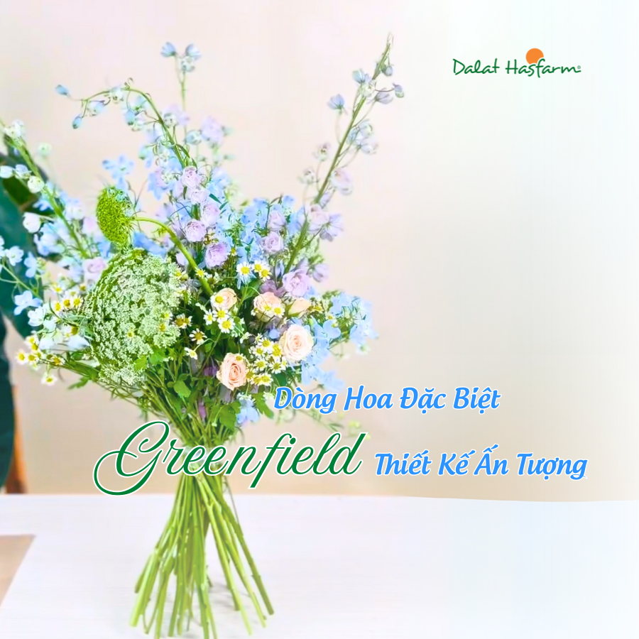 Greenfield - Dòng Hoa Đặc Biệt Cho Các Thiết Kế Ấn Tượng