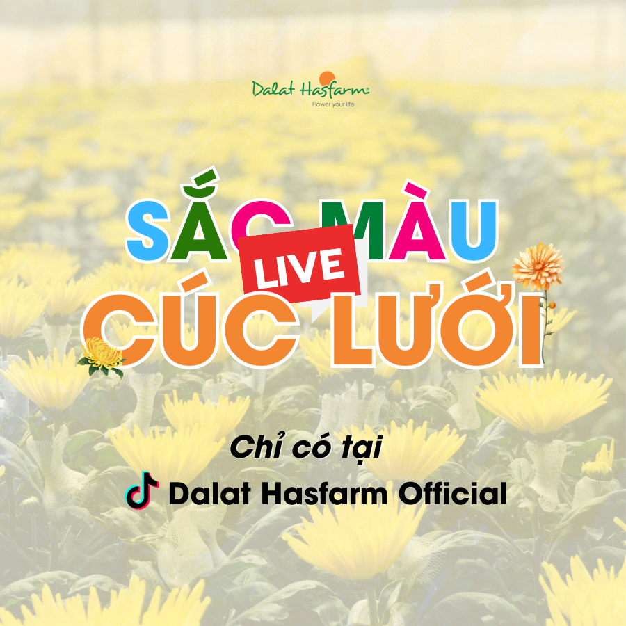 [LIVESTREAM TẠI FARM] THẾ GIỚI SẮC MÀU CÚC LƯỚI