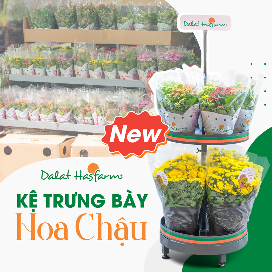 Kệ Trưng Bày Hoa Chậu – Tối Ưu Không Gian, Nâng Tầm Kinh Doanh