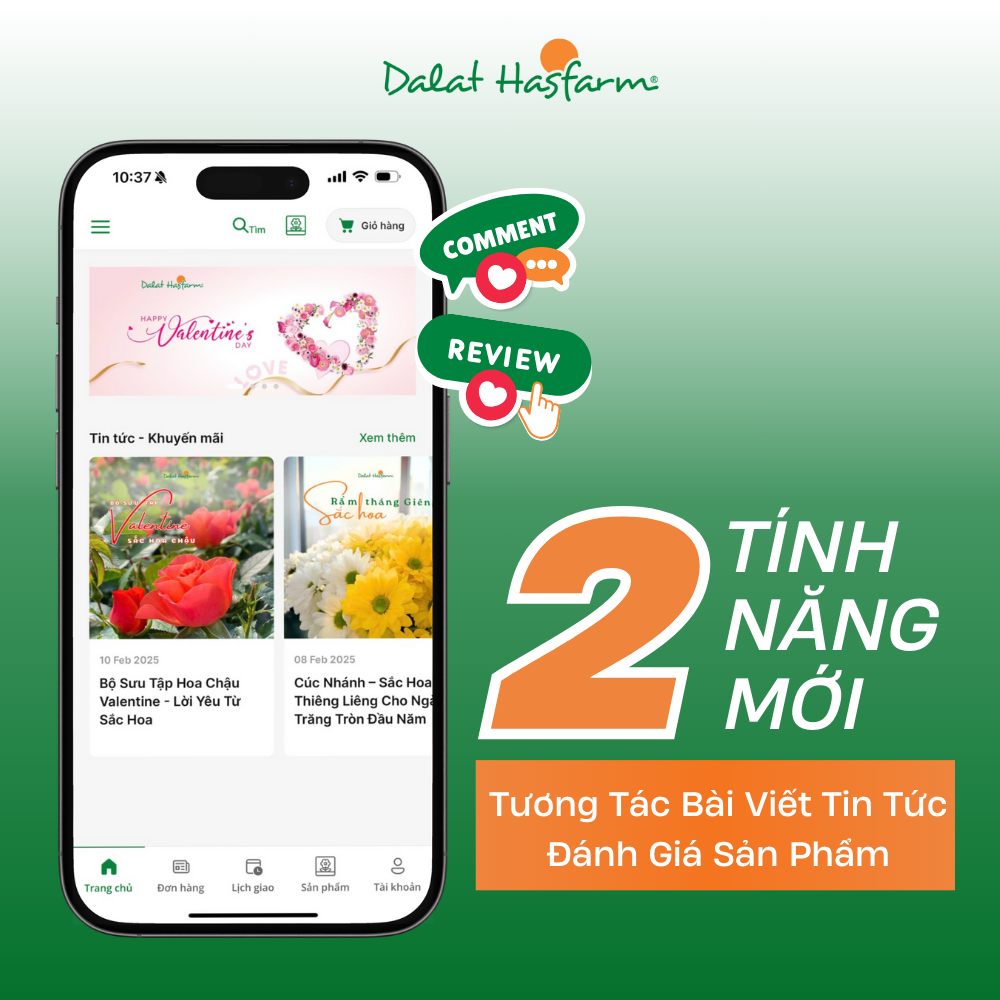Cập Nhật 2 Tính Năng Mới trên B2B App: Tương Tác Bài Viết Tin Tức & Đánh Giá Sản Phẩm