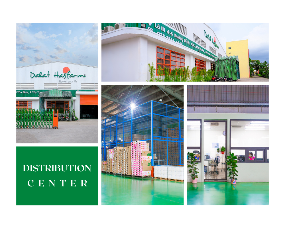 Dalat Hasfarm xây dựng mạng lưới phân phối vững chắc rộng khắp cả nước