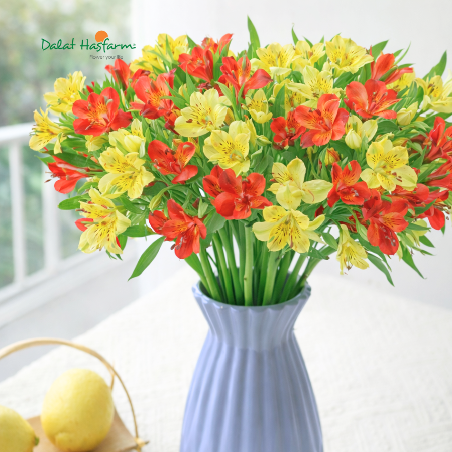 Dòng Hoa Dễ Bán - Hoa Thủy Tiên Nét Đẹp Dịu Dàng Ngày Đầu Năm