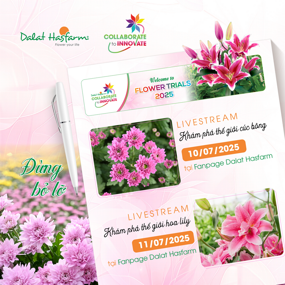 ĐÓN XEM LIVESTREAM FLOWER TRIALS 2025