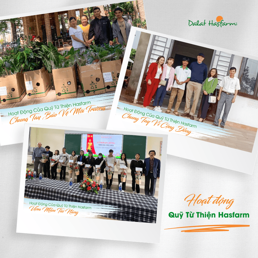 Hình 9 - Sự kiện đi bộ từ thiện 2024 Dalat Hasfarm