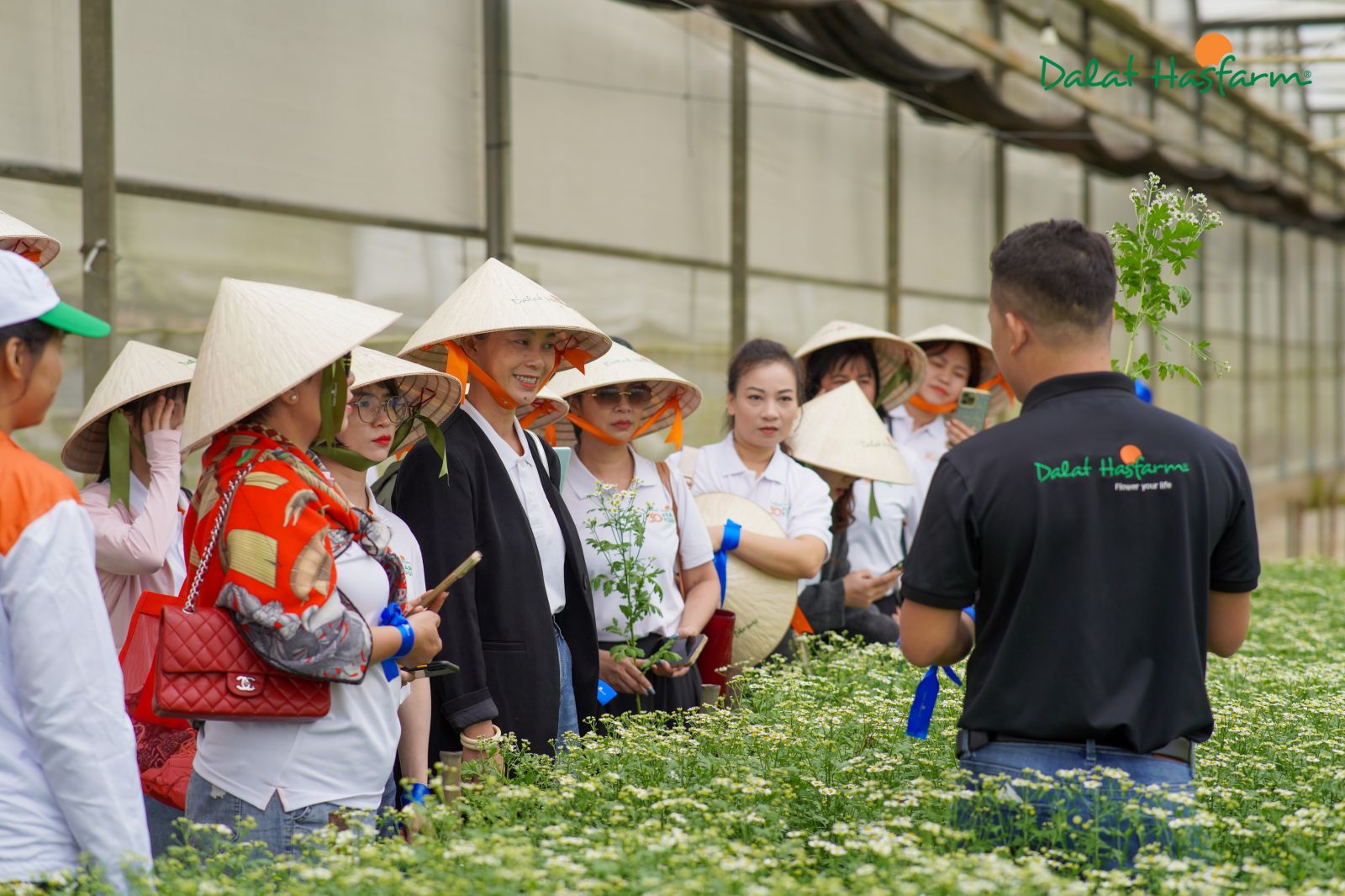 Quý khách hàng không khỏi hứng thú khi nghe chia sẻ về quy trình sản xuất hoa tươi từ nhân viên của Dalat Hasfarm.