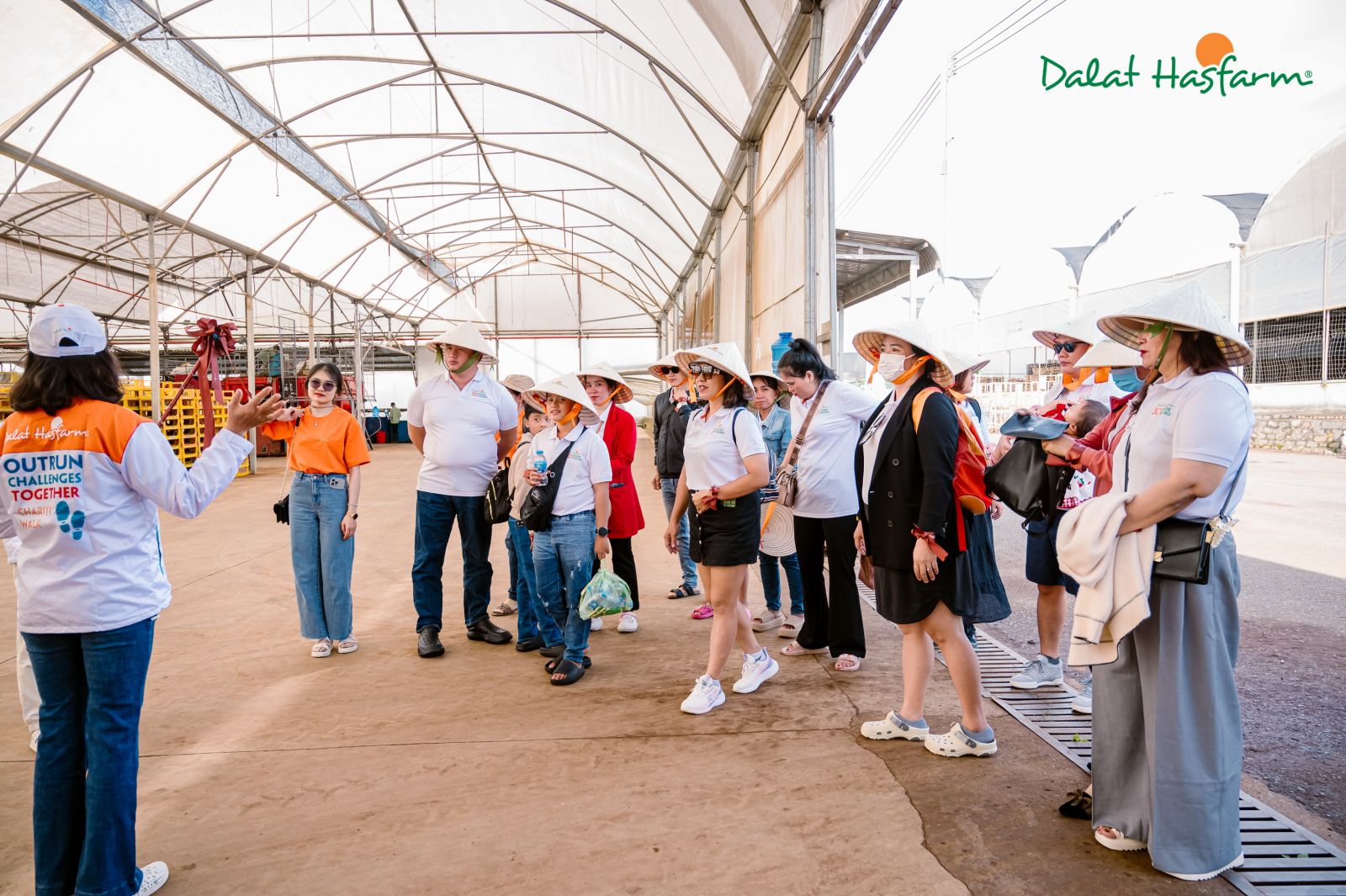 Khách hàng không khỏi ngạc nhiên trước hệ thống nhà kính hiện đại tại Dalat Hasfarm.