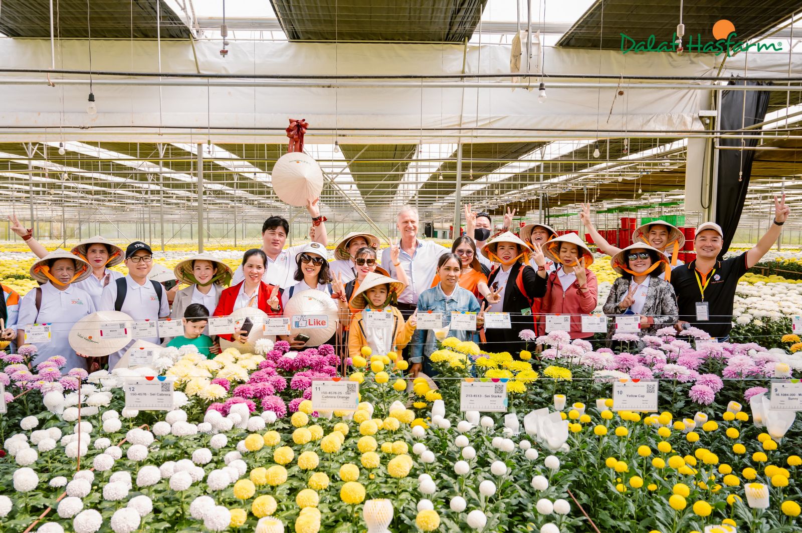 Khách hàng hứng khởi và ấn tượng trước quy mô hoành tráng và sự phát triển của trang trại hoa Dalat Hasfarm tại Đà Lạt và Đạ Ròn.